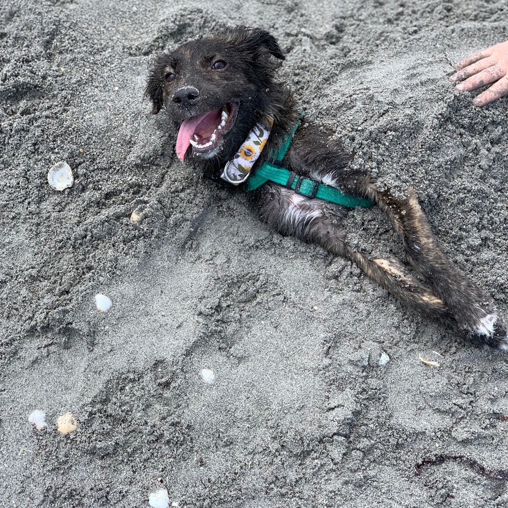 Meet your Posher, Toni